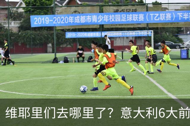 维耶里们去哪里了？意大利6大前锋没一个在踢欧冠